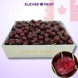  Cherry SuperBig Canada Size Trung 9 Row (30-32mm) - Canadian Cherry 