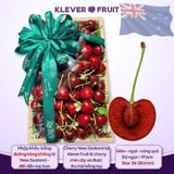  Cherry Đỏ New Zealand Size 26+ 