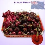  Cherry Đỏ New Zealand Size 26+ 