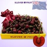  Cherry Đỏ New Zealand Size 26+ 