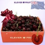  Cherry Đỏ New Zealand Size 26+ 