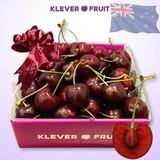  Cherry Đỏ New Zealand Size 26+ 