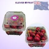  Cherry Đỏ New Zealand Size 26+ 