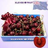  Cherry Đỏ New Zealand Size 26+ 