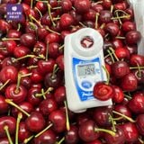  Cherry Đỏ Úc Size 26 - 28mm - Australian Cherries 