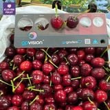  Cherry Đỏ Úc Size 26 - 28mm - Australian Cherries 