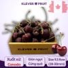 Cherry Jumbo Canada Size 9.5 Row (28-30mm)- Canadian Cherry tại Klever Fruit