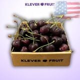  Cherry Jumbo Mỹ Size 9.5 Row (28 - 30mm) - USA Cherry 