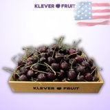  Cherry Jumbo Mỹ Size 9.5 Row (28 - 30mm) - USA Cherry 