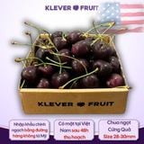  Cherry Jumbo Mỹ Size 9.5 Row (28 - 30mm) - USA Cherry 