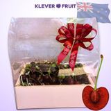  Cherry Number One New Zealand - Cherry Size To 30+ 