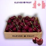  Cherry Number One Canada Size To 8.5 Row (32 - 34mm) - Canadian Cherry 