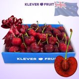 Cherry Number One New Zealand - Cherry Size To 30+ 