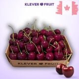  Cherry SuperBig Canada Size Trung 9 Row (30-32mm) - Canadian Cherry 