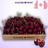  Cherry SuperBig Canada Size Trung 9 Row (30-32mm) - Canadian Cherry 