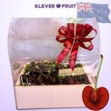  Cherry Super Big New Zealand - Cherry Size Trung 28+ 