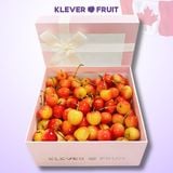  Cherry Vàng Canada - Rainier Cherry - Dòng Cherry Quý Hiếm 