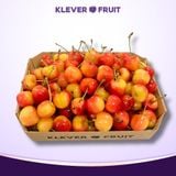  Cherry Vàng Rainier Jumbo Mỹ Size 9.5 Row (28 - 30mm) - USA Cherry 