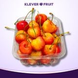  Cherry Vàng Rainier Jumbo Mỹ Size 9.5 Row (28 - 30mm) - USA Cherry 