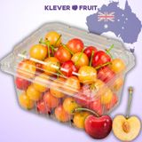  Cherry Vàng Úc - Cherry Rainier Úc Quý Hiếm 
