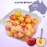  Cherry Vàng Úc - Cherry Rainier Úc Quý Hiếm 