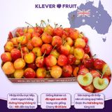  Cherry Vàng Úc - Cherry Rainier Úc Quý Hiếm 