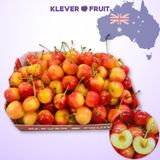  Cherry Vàng Úc - Cherry Rainier Úc Quý Hiếm 