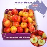  Cherry Vàng Úc - Cherry Rainier Úc Quý Hiếm 
