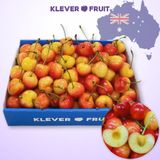  Cherry Vàng Úc - Cherry Rainier Úc Quý Hiếm 