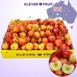  Cherry Vàng Úc - Cherry Rainier Úc Quý Hiếm 
