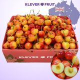  Cherry Vàng Úc - Cherry Rainier Úc Quý Hiếm 