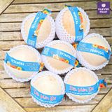  Dừa Đá Khoáng - Khi Đá Đỏ Hóa Ngọt Ngào 