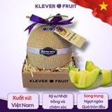  Dưa Giống Nhật Musk Melon 