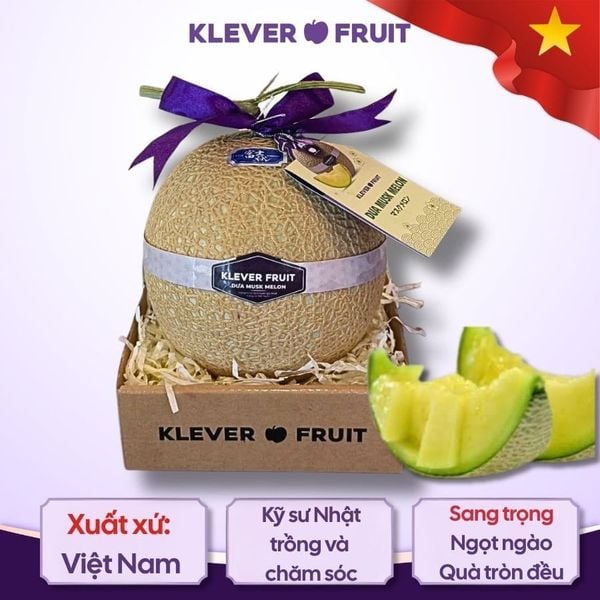 Dưa Giống Nhật Musk Melon tại Klever Fruit