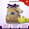 Dưa Giống Nhật Musk Melon tại Klever Fruit