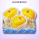  Dưa Lê Giống Hàn Quốc 