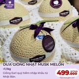  Dưa Giống Nhật Musk Melon 