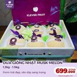 Dưa Giống Nhật Musk Melon 