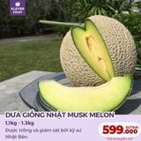  Dưa Giống Nhật Musk Melon 