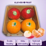  Fruit Box - Snack Trái Cây Healthy 