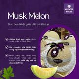  Hộp Quà Dưa Giống Nhật Musk Melon Quý Hiếm - Size L (1.5-1.69kg) 