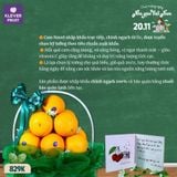 Giỏ Cam Vàng Tặng 20/11 - Sắc Cam Trao Tri Thức 