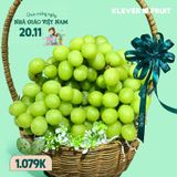  Nho Xanh Không Hạt Mỹ VIP - Nho Autumn Crisp Quả To Giòn Ngọt 