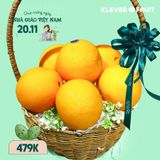  Giỏ Cam Vàng Tặng 20/11 - Sắc Cam Trao Tri Thức 