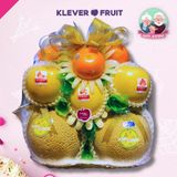  Giỏ Quà Dưa Nhật Mừng Sinh Nhật Ông Bà - Lời Chúc Vạn Thọ 