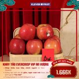  Lẵng Quà Tết Táo Ever Crisp Mỹ 