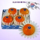  Hồng Hàn Quốc VIP - Hồng Giòn 