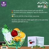  Hộp Quà 20/11 399K – Lời Tri Ân Sống Sang Gửi Đến Thầy Cô 