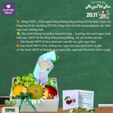  Hộp Quà 20/11 599K Quà Tặng Thầy Cô Tươi Ngon 