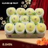 Hộp Quà 08 trái Táo Haruka Nhật Bả